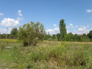 Prodej louky, Kosmonosy, 8401 m2