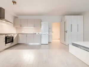 Pronájem bytu 1+kk, Praha - Karlín, Sokolovská, 40 m2