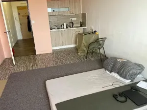 Pronájem bytu 1+kk, Pardubice, Trnovská, 36 m2