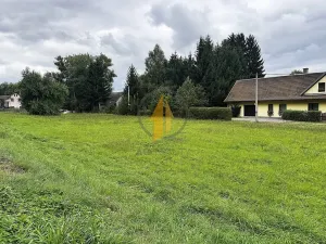 Prodej pozemku pro bydlení, Horní Olešnice, 2510 m2