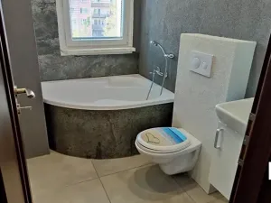 Pronájem bytu 1+kk, Olomouc, Schweitzerova, 25 m2