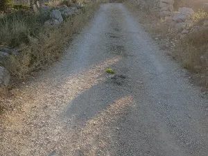 Prodej pozemku, Potočnica, Chorvatsko, 532 m2