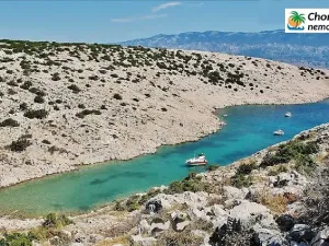 Prodej lesa, Novalja, Chorvatsko, 710 m2