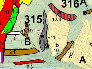 Dražba lesa, Hovězí, 2626 m2