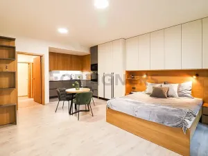 Pronájem bytu 1+kk, Brno, Cyrilská, 40 m2