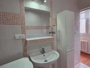 Pronájem bytu 2+1, Frýdek-Místek, Anenská, 67 m2