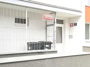 Pronájem bytu 3+kk, Praha - Střížkov, Verneřická, 55 m2