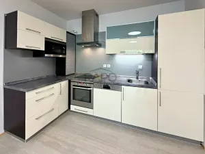 Prodej bytu 3+kk, Praha - Žižkov, Kališnická, 93 m2