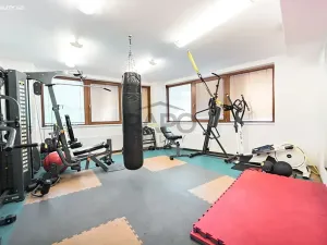 Prodej bytu 3+kk, Praha - Žižkov, Kališnická, 93 m2