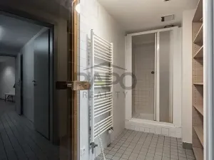 Prodej bytu 3+kk, Praha - Žižkov, Kališnická, 93 m2