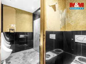 Pronájem obchodního prostoru, Jesenice, Budějovická, 289 m2