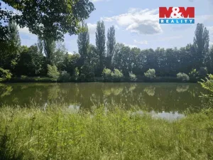 Prodej louky, Hradec Králové - Pražské Předměstí, 1000 m2