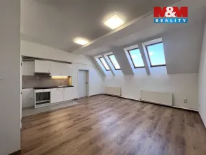 Pronájem obchodního prostoru, Prostějov, 42 m2