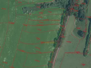 Prodej pole, Bělá nad Radbuzou, 174301 m2