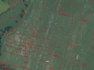 Prodej pole, Bělá nad Radbuzou, 174301 m2