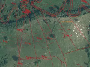 Prodej pole, Bělá nad Radbuzou, 174301 m2