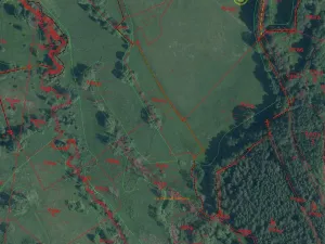 Prodej pole, Bělá nad Radbuzou, 174301 m2
