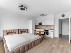 Pronájem bytu 1+kk, Praha - Žižkov, Olgy Havlové, 32 m2