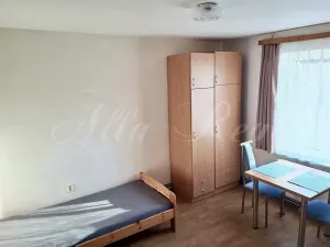 Pronájem bytu 1+kk, Velká Bíteš - Březka, 25 m2