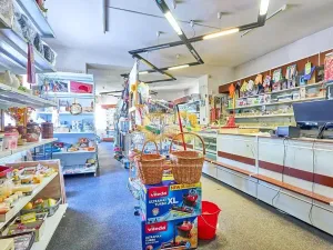 Prodej obchodního prostoru, Doksy, Panská, 270 m2