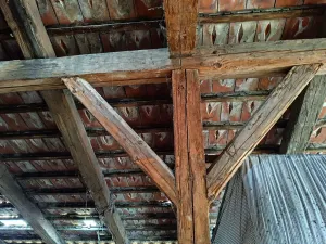 Prodej rodinného domu, Tisová, 98 m2