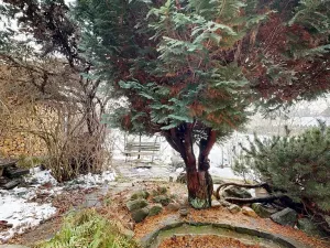 Prodej rodinného domu, Ronov nad Doubravou, Svatokřížská, 138 m2