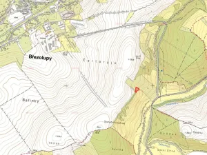 Prodej louky, Nedachlebice, 16411 m2