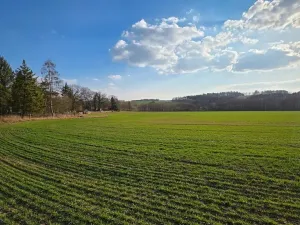 Prodej pole, Dolní Hbity, 225000 m2