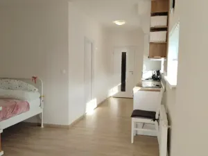Pronájem bytu 1+kk, Plzeň, Klatovská třída, 47 m2