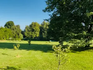 Prodej rodinného domu, Rabí, 320 m2