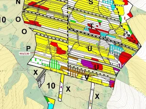 Dražba lesa, Nová Hradečná, 5079 m2