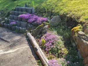 Prodej chaty, Nalžovské Hory - Těchonice, 13 m2