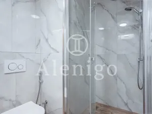 Prodej bytu 1+1, Praha - Čimice, Minická, 40 m2