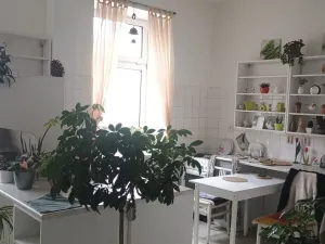 Pronájem obchodního prostoru, Děčín - Děčín IV-Podmokly, Teplická, 270 m2