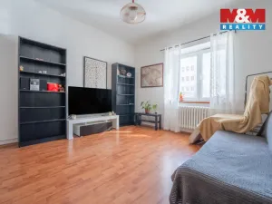 Prodej bytu 2+1, České Budějovice - České Budějovice 7, L. B. Schneidera, 45 m2