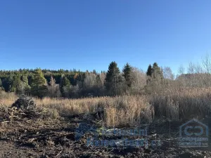 Prodej pozemku pro bydlení, Světlík, 13408 m2