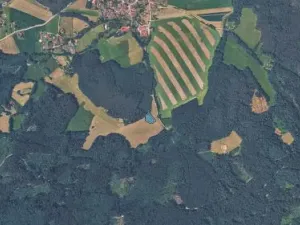 Prodej pole, Holubov, 2498 m2