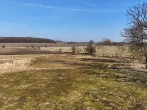 Prodej pozemku pro bydlení, Češov, 1200 m2