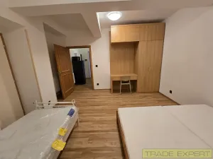 Pronájem bytu 1+1, Praha - Braník, Mezivrší, 55 m2