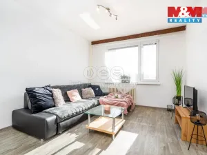 Pronájem bytu 1+1, Rokytnice v Orlických horách, U Nádraží, 41 m2