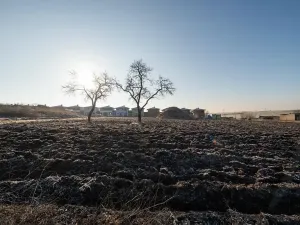 Prodej pozemku pro bydlení, Syrovice, 693 m2