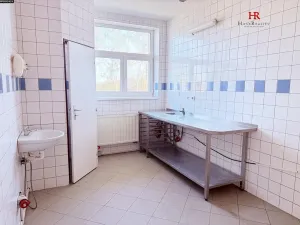 Pronájem restaurace, Mirošovice, Hlavní, 187 m2