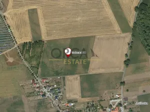 Prodej pole, Jevišovka, 4245 m2