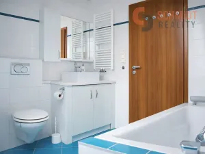 Pronájem rodinného domu, Mikulov, Vinohrady, 320 m2