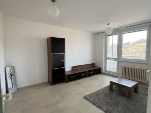 Pronájem bytu 1+1, Brumov-Bylnice, Am. Kutinové, 38 m2