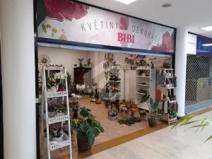 Pronájem obchodního prostoru, České Budějovice - České Budějovice 1, nám. Přemysla Otakara II., 30 m2