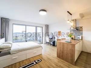 Prodej bytu 1+kk, Olomouc, Loudova, 36 m2