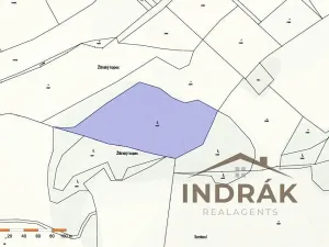 Prodej lesa, Nový Jičín, Na Samotě, 13092 m2