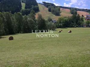 Prodej pozemku pro bydlení, Malá Morávka, 2160 m2