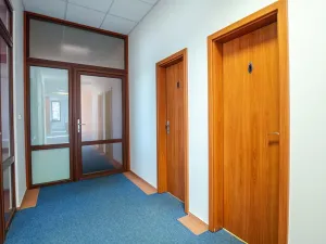 Pronájem kanceláře, Ostrava, Vítkovická, 38 m2